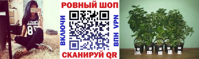 Где купить Дедовск МЕТАДОН  Мефедрон  ГАШИШ  АМФ  Марихуана  A PVP  КОКАИН 