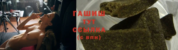 PSILOCYBIN Богородицк
