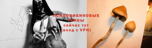 круглые Богданович