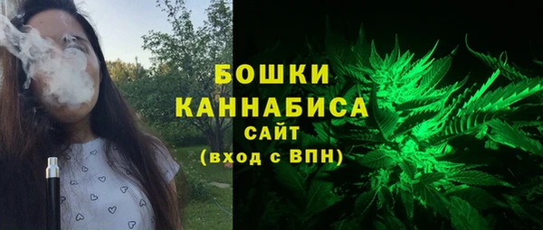 стафф Бронницы